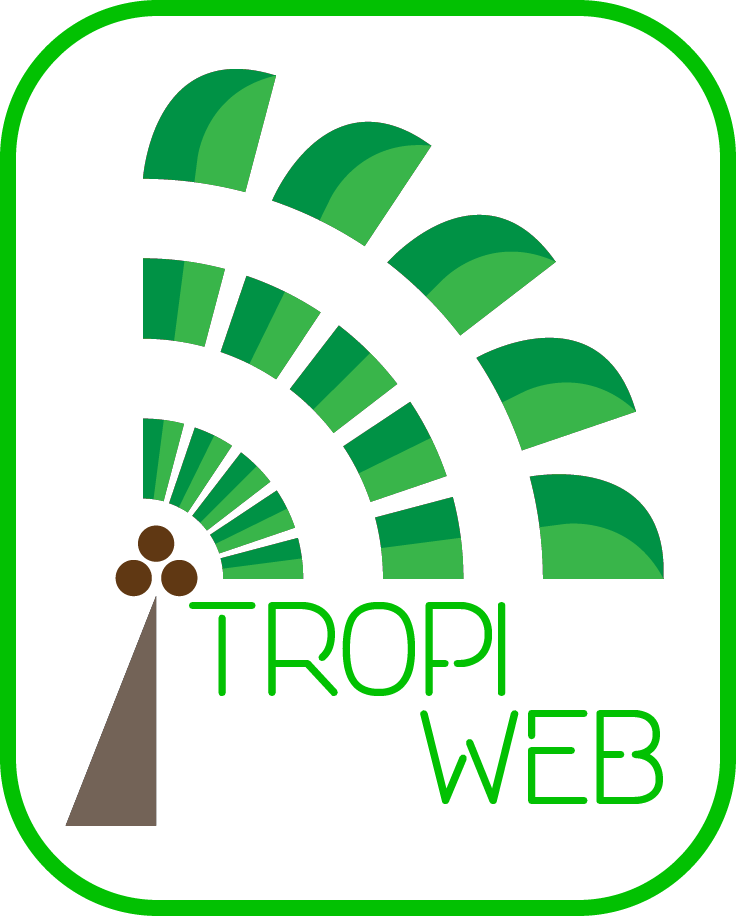 tropiweb logo web-page website quality cheap expert fancy html css development